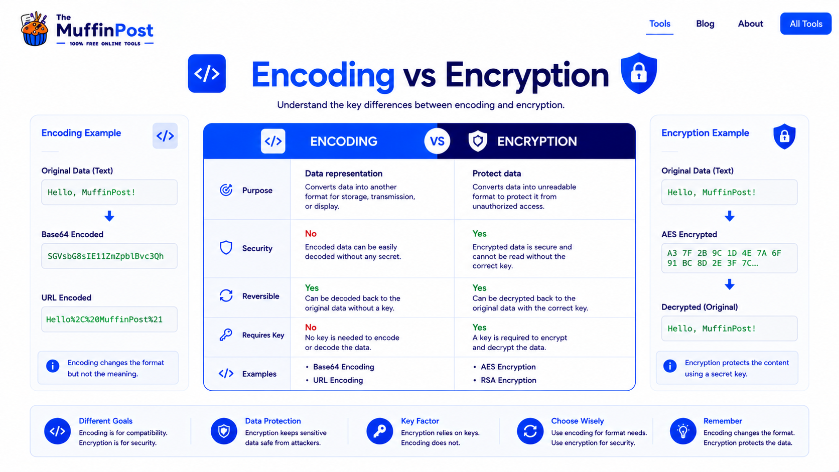 Comparison infographic showing encoding vs encryption purpose security reversibility and examples