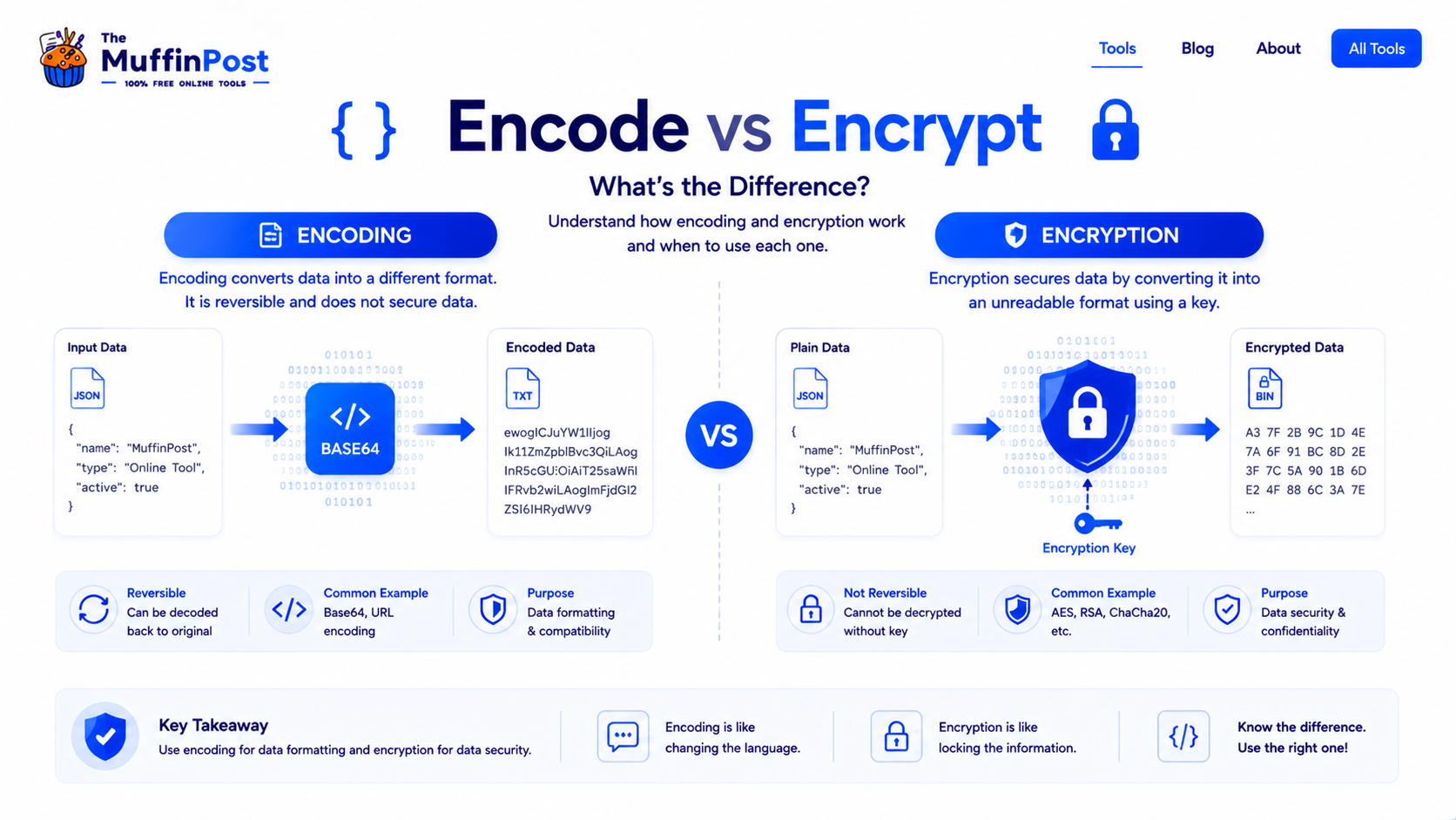 Infographic explaining the differences between encoding and encryption, including Base64 encoding, cryptographic encryption, reversibility, security, and common applications.