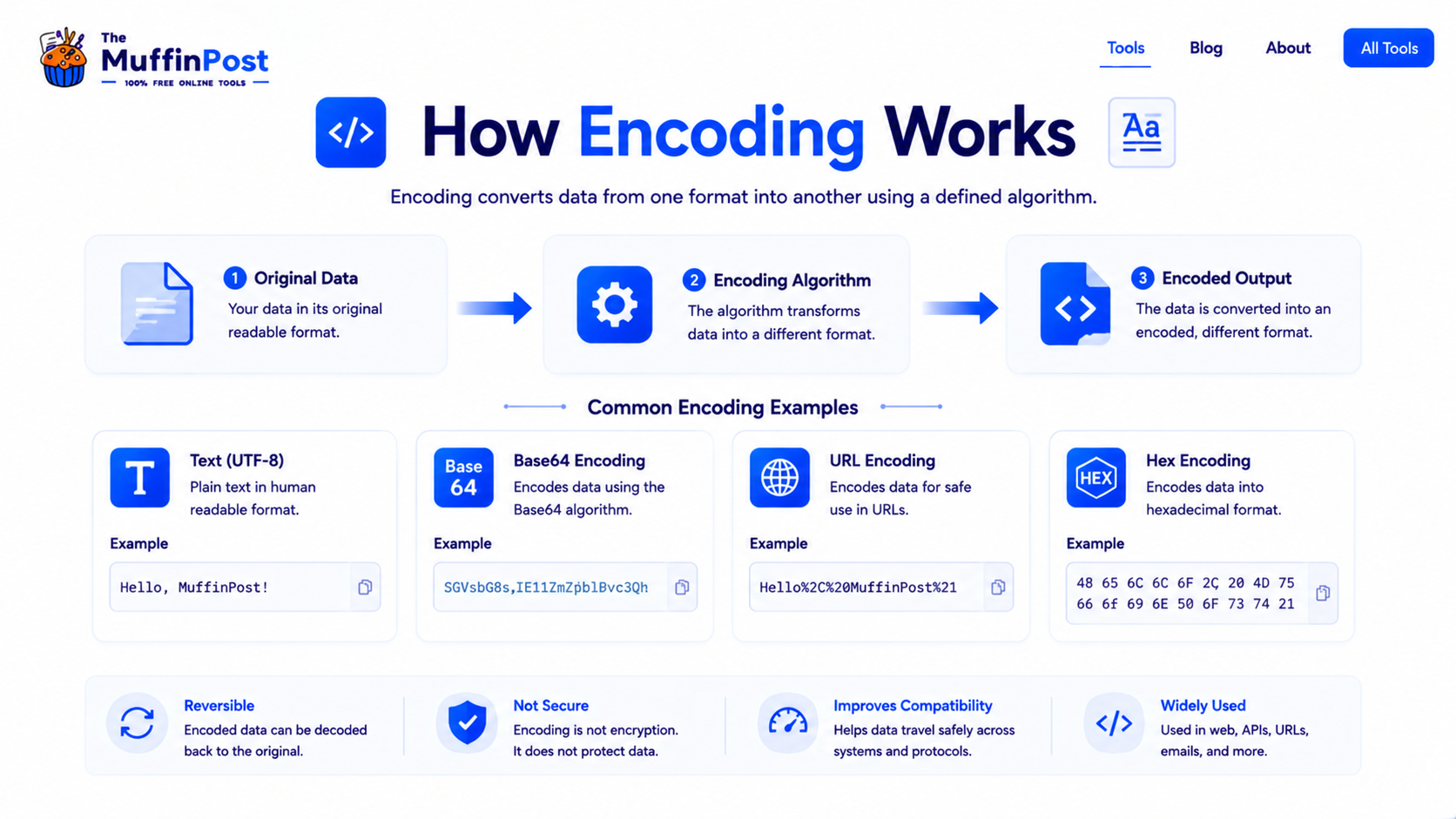 Infographic explaining how encoding converts original data into encoded output