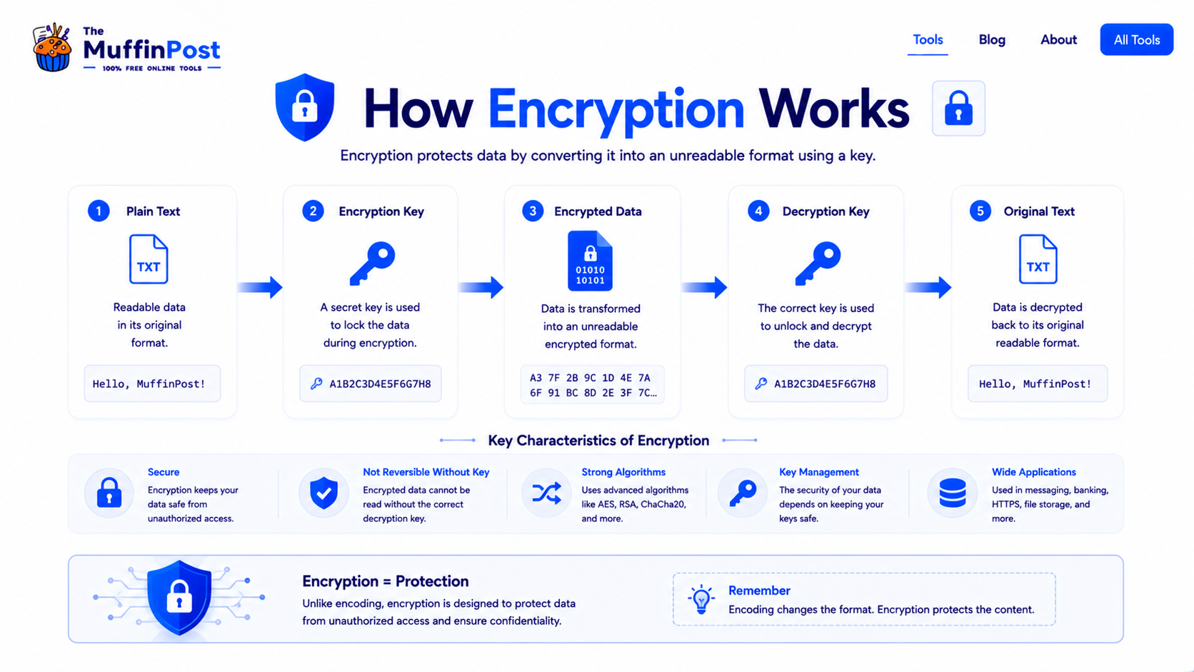 Infographic explaining how encryption uses keys to protect and decrypt data