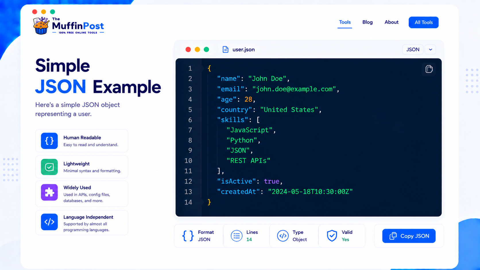Simple formatted JSON code example showing name email age country and skills