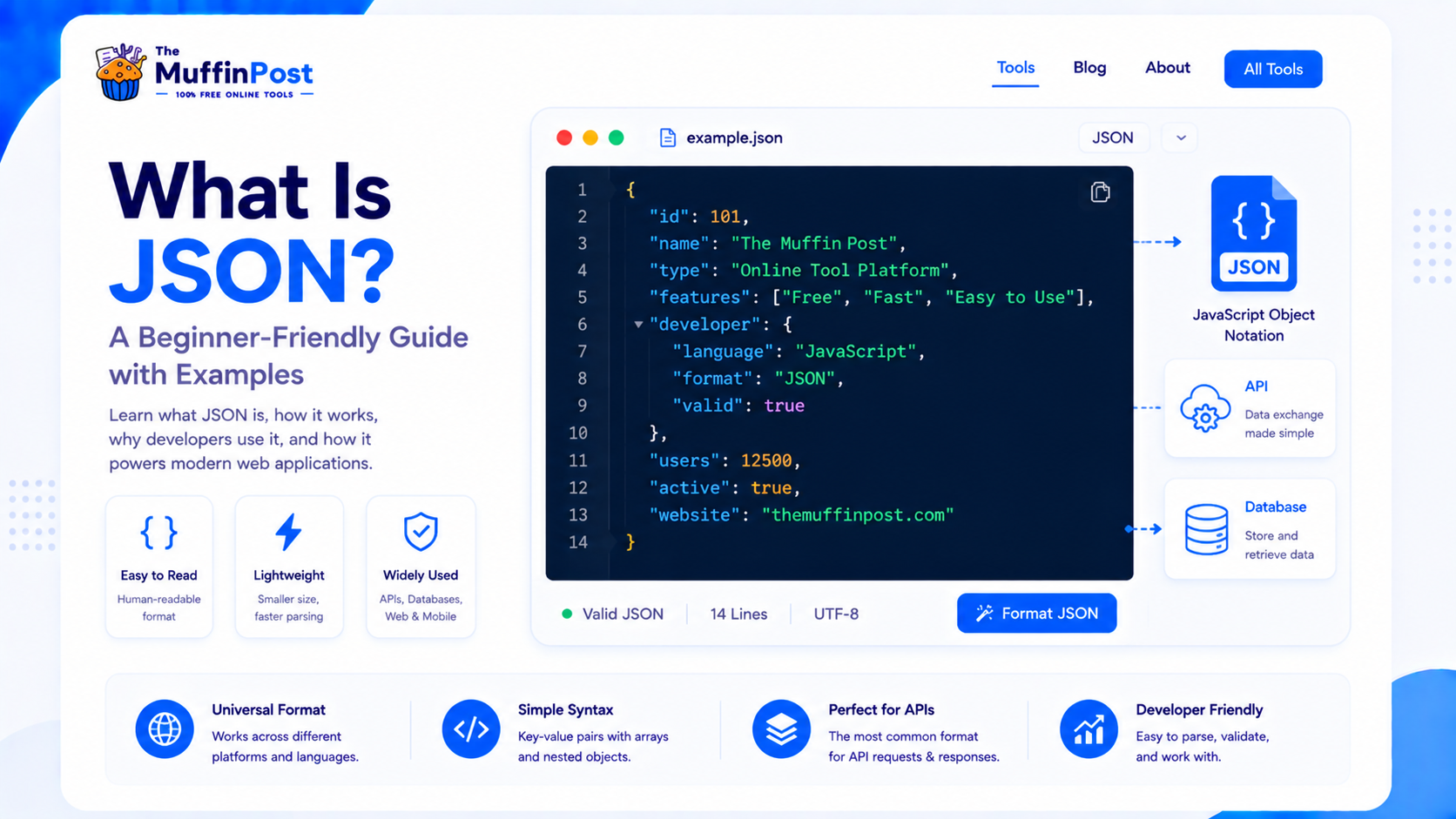 Modern developer dashboard explaining what JSON is with formatted code examples